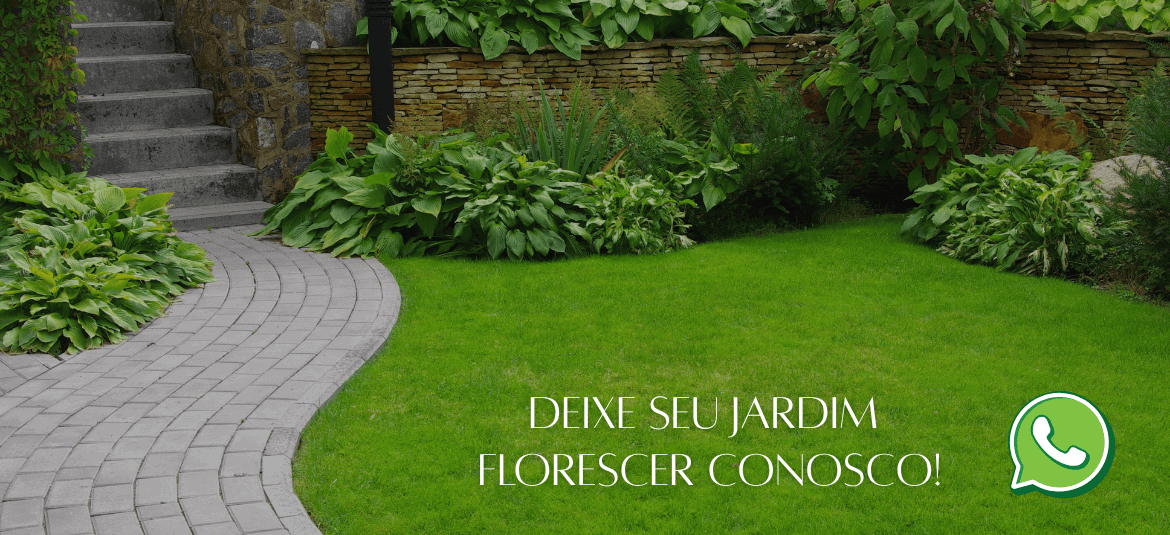 Imagem do Slide Home