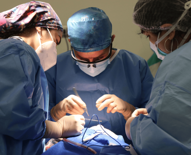 Cirurgia e Traumatologia Bucomaxilofacial - Foto 1