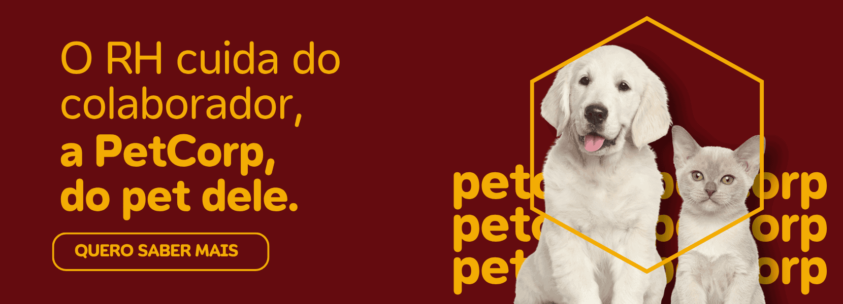 Imagem do Slide Home