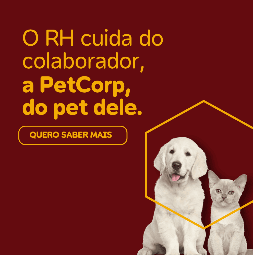 Imagem do Slide Home