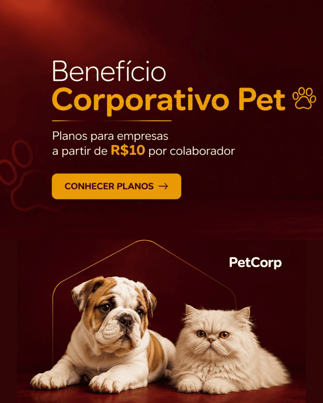 Imagem do Slide Home