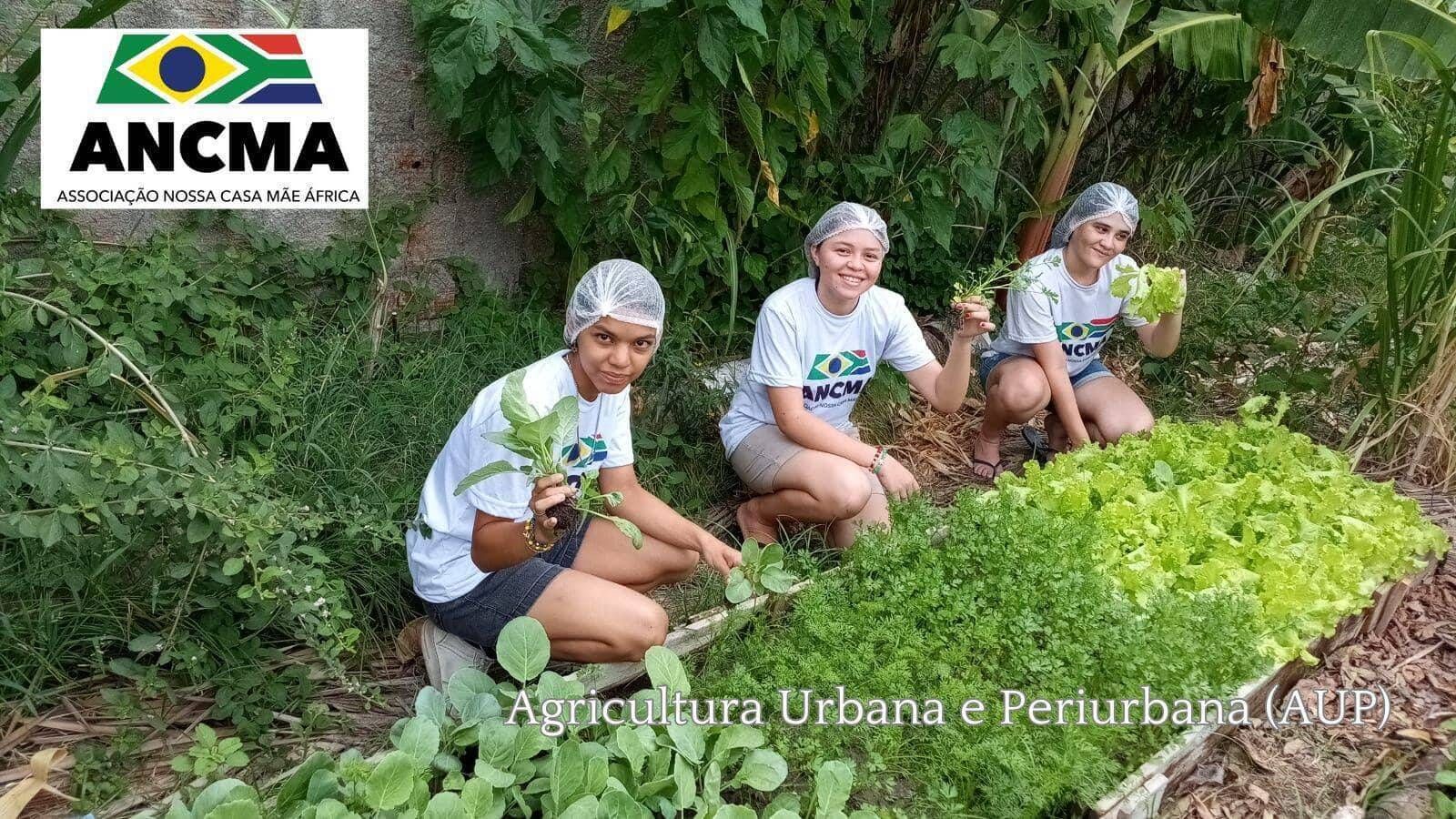 Agricultura Urbana e Periurbana (AUP) - Foto 1