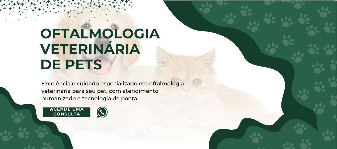 Imagem do Slide Home