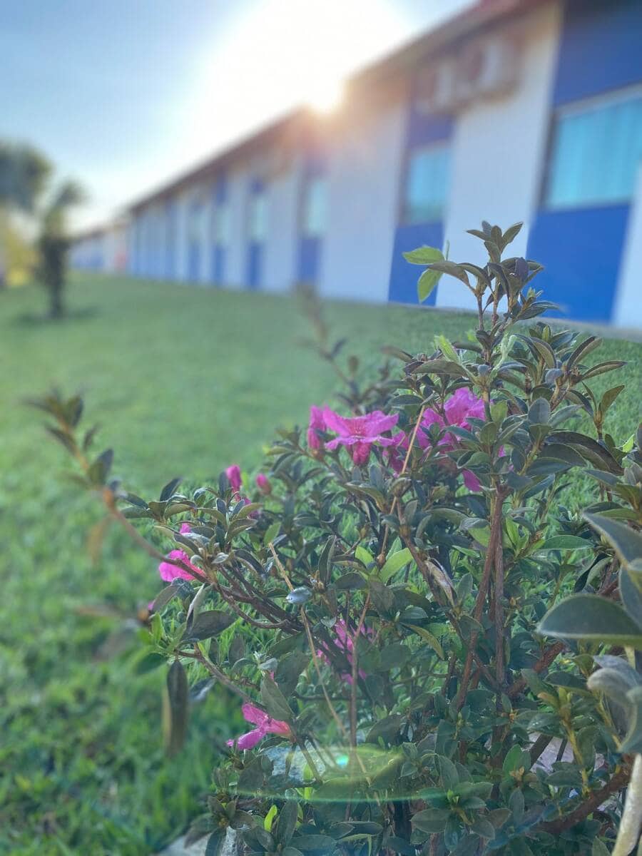 Ambiente para Descanso e Conexão com a Natureza - Foto 22