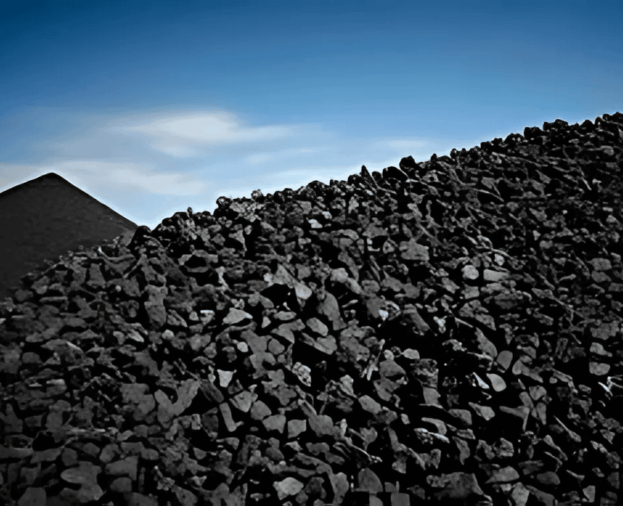 Carvão Coque Personalizado - Foto 1