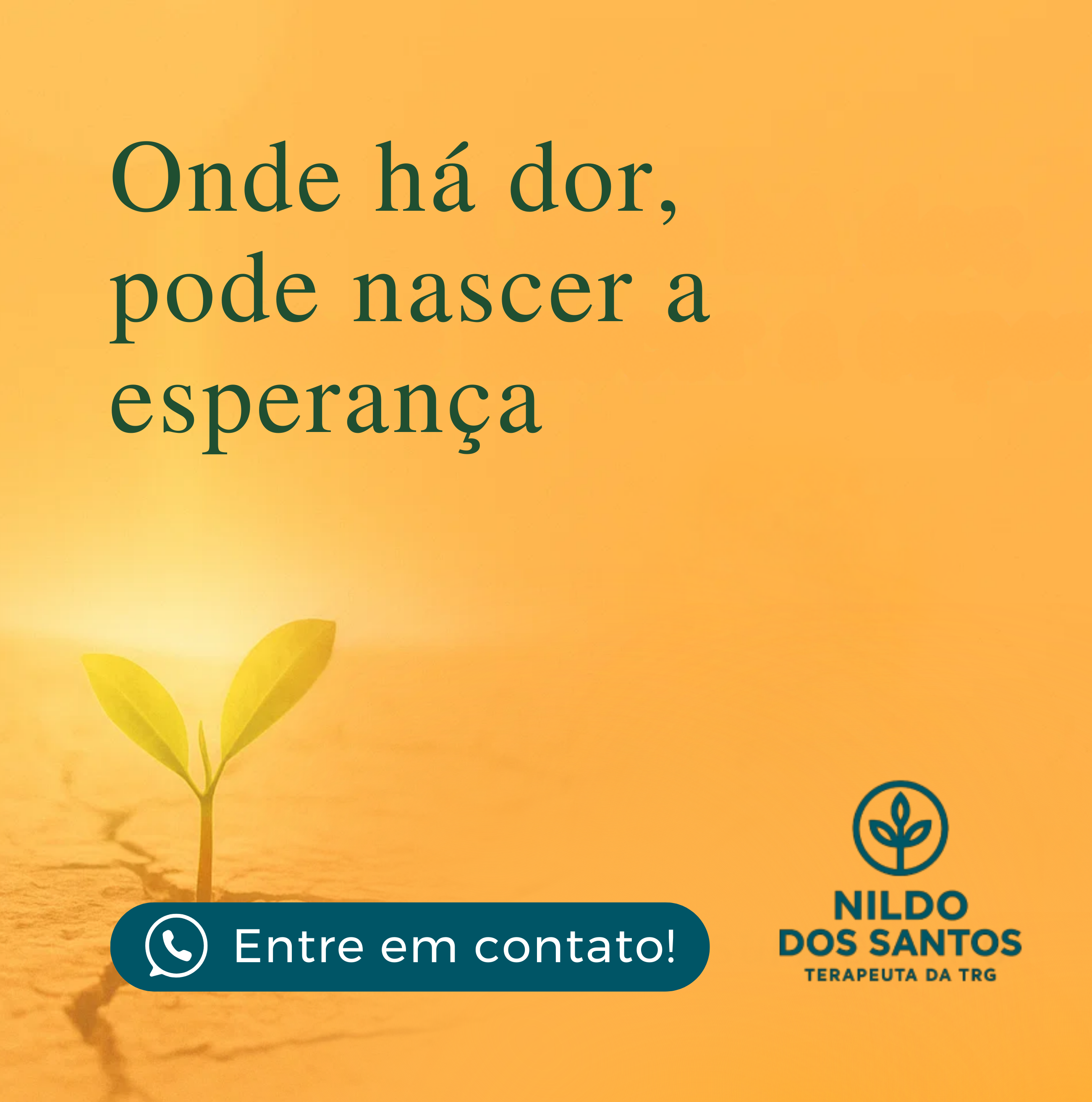 Imagem do Slide Home