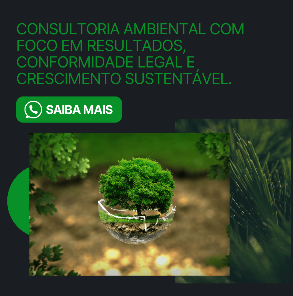 Imagem do Slide Home