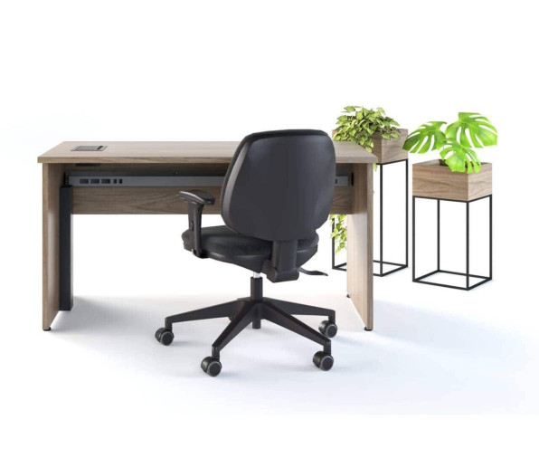 Plana Linear - Foto 1