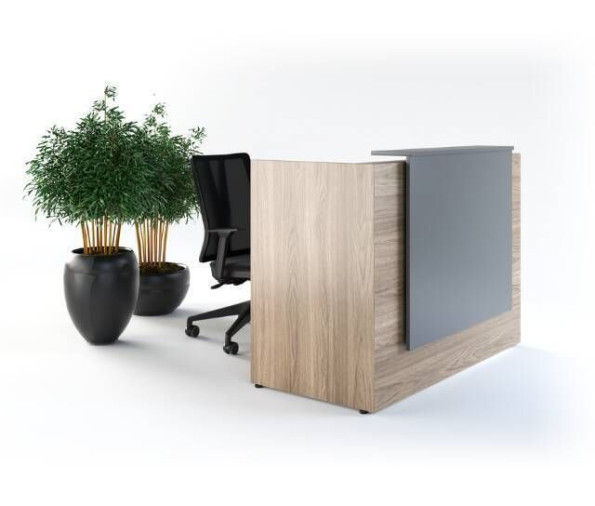 Balcão Lide - Foto 1