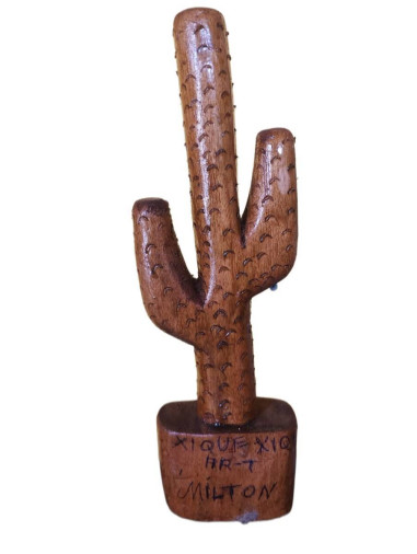 Cactus em Madeira - Foto 1