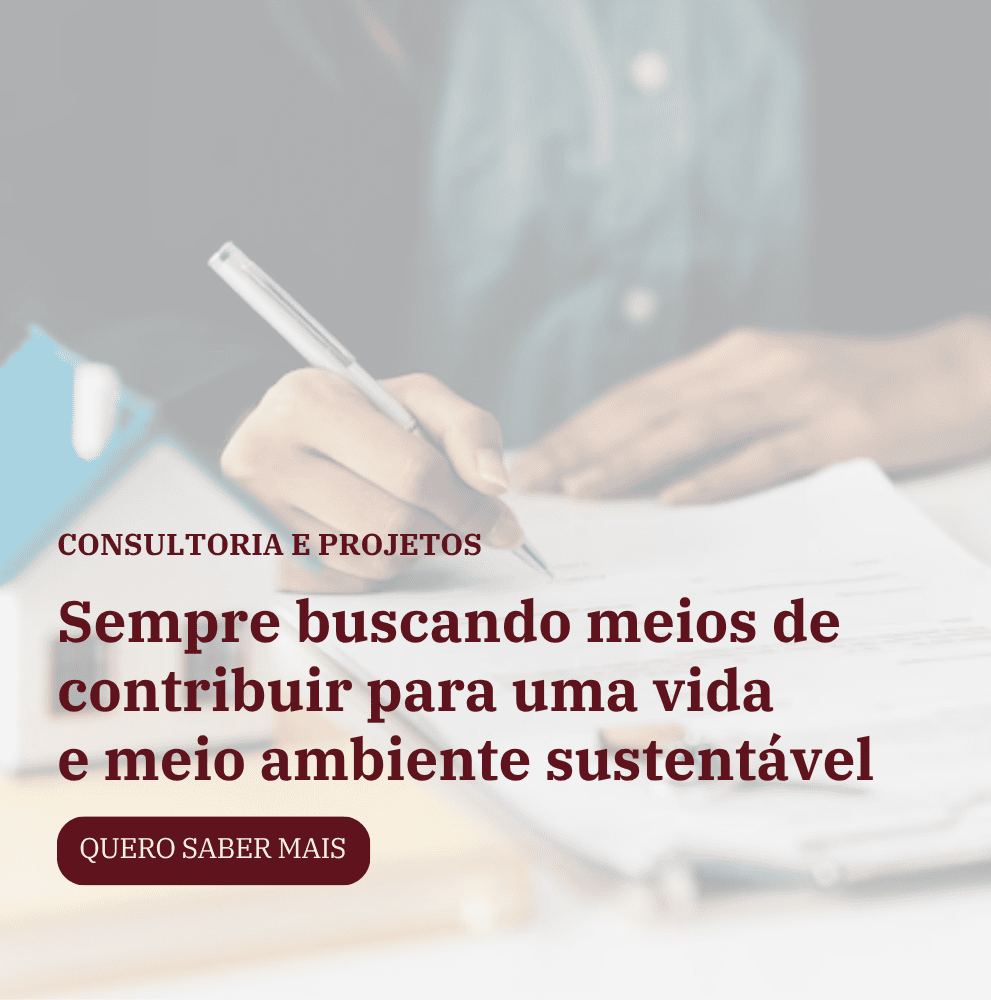 Imagem do Slide Home