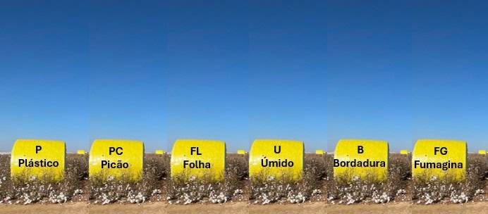 MÓDULOS DE ALGODÃO