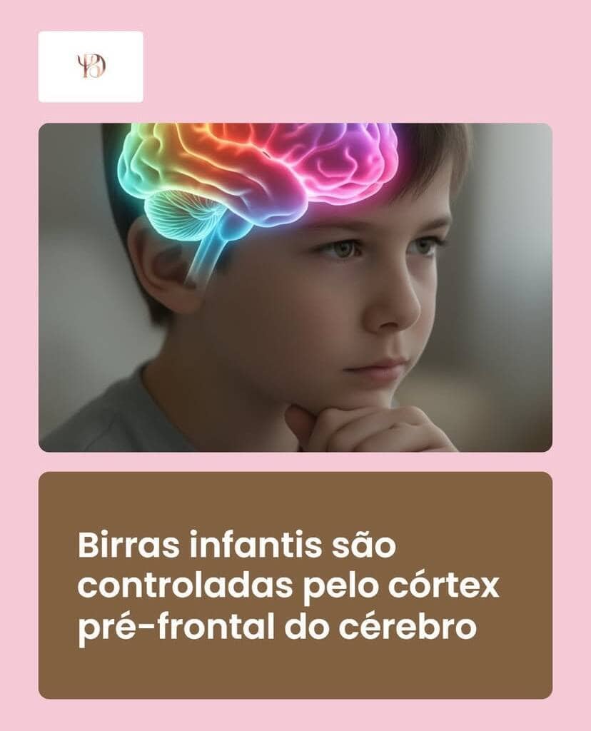 Birras infantis: por que o córtex pré-frontal não controla o que ainda não amadureceu