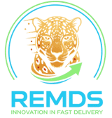 REMDS INNOVATION IN FAST DELIVERY