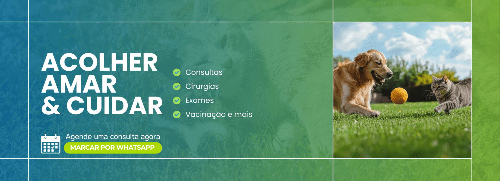 Imagem do Slide Home