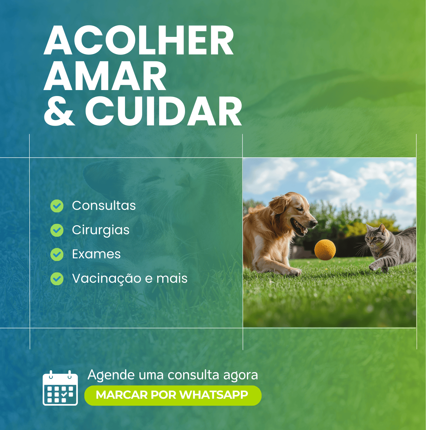 Imagem do Slide Home