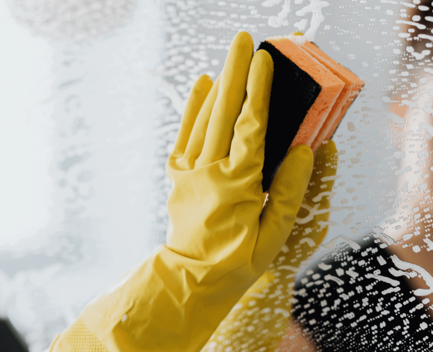 Limpeza Pré-Mudança - Foto 1