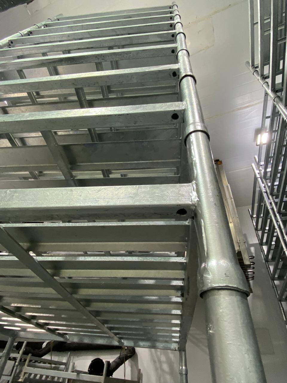 Bandejas long box - Foto 1