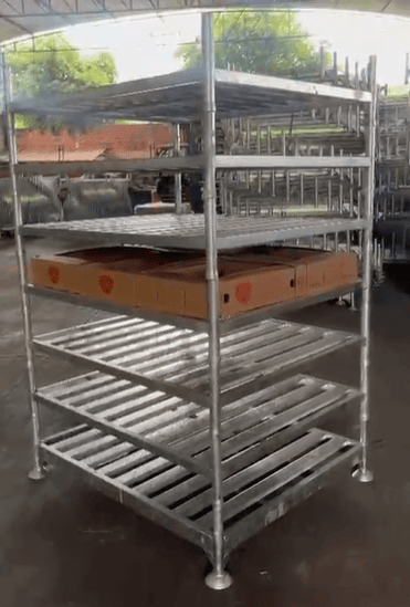 Bandejas long box - Foto 3