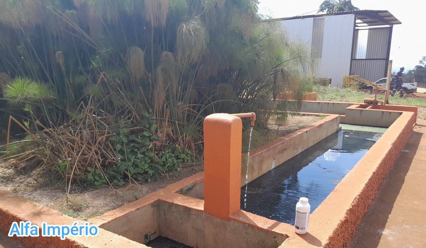 Controle da dengue,larvas e mosquitos