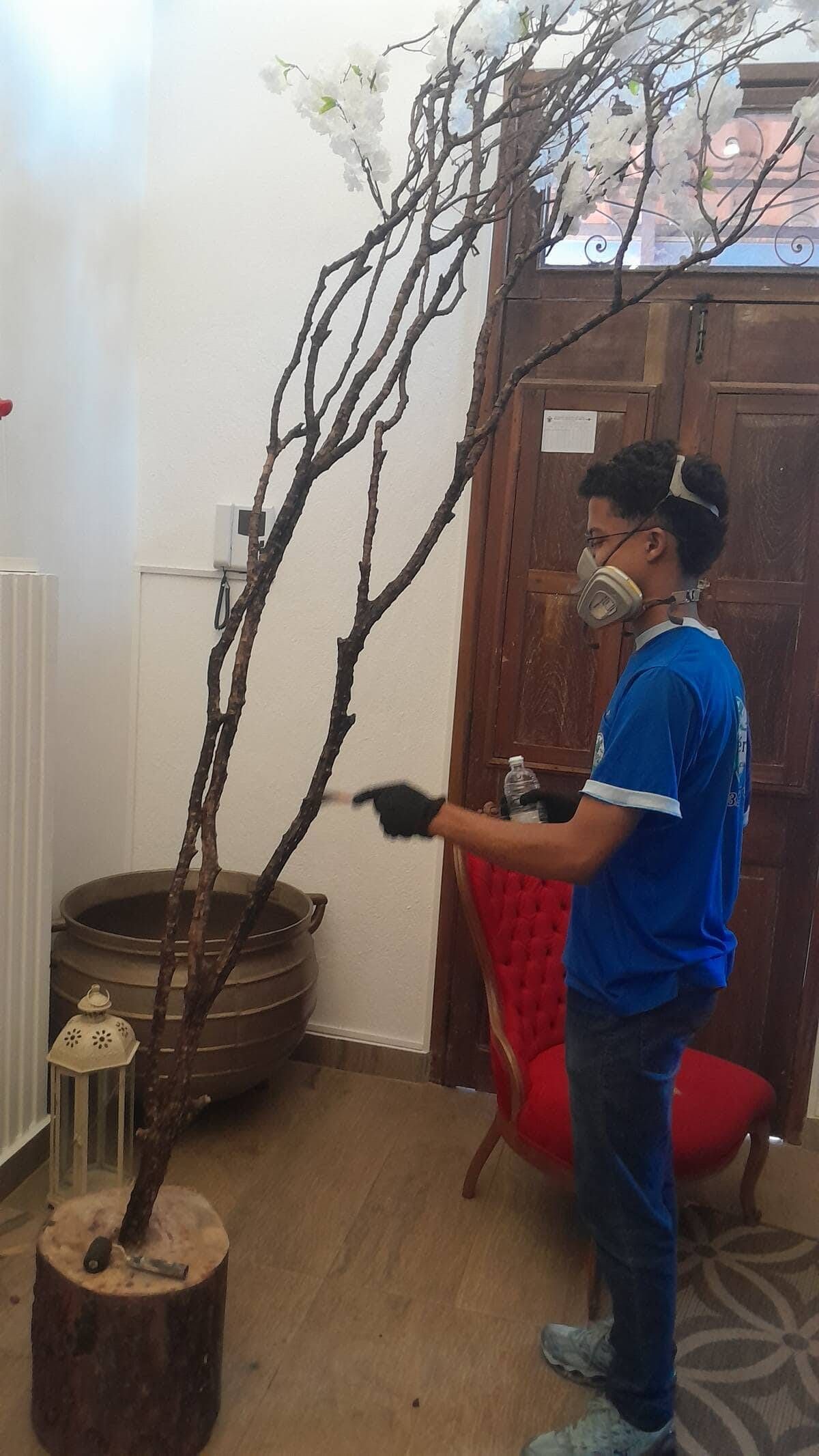 Dedetização contra cupins