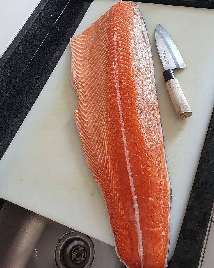Salmão Fresco e Congelado - Foto 10