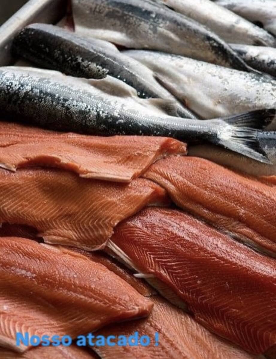Salmão Fresco e Congelado - Foto 11