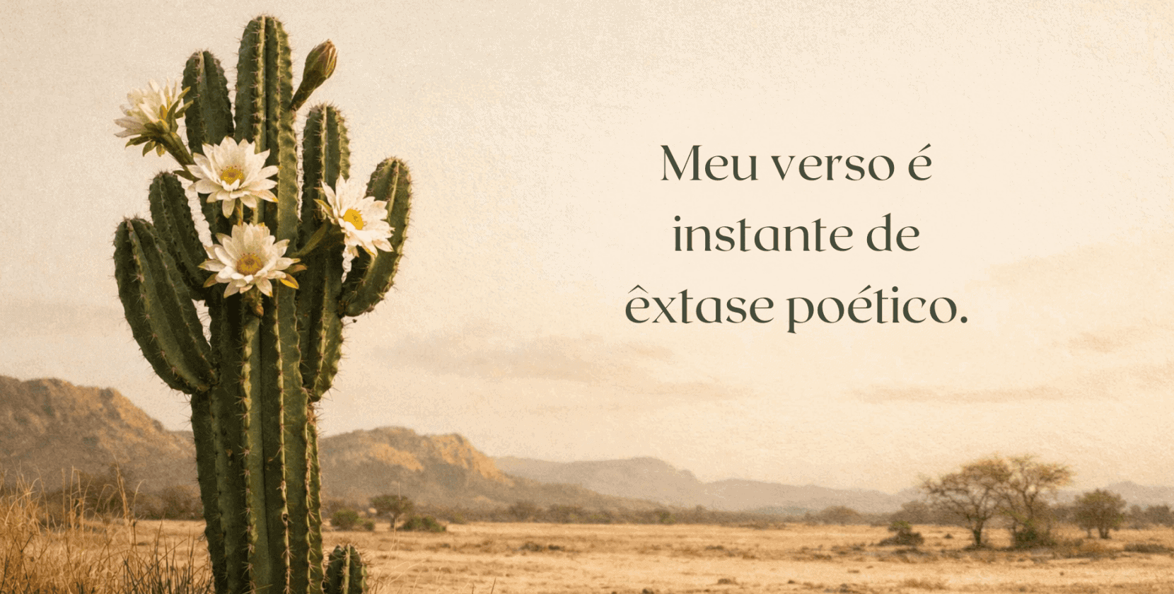 Imagem do Slide Home