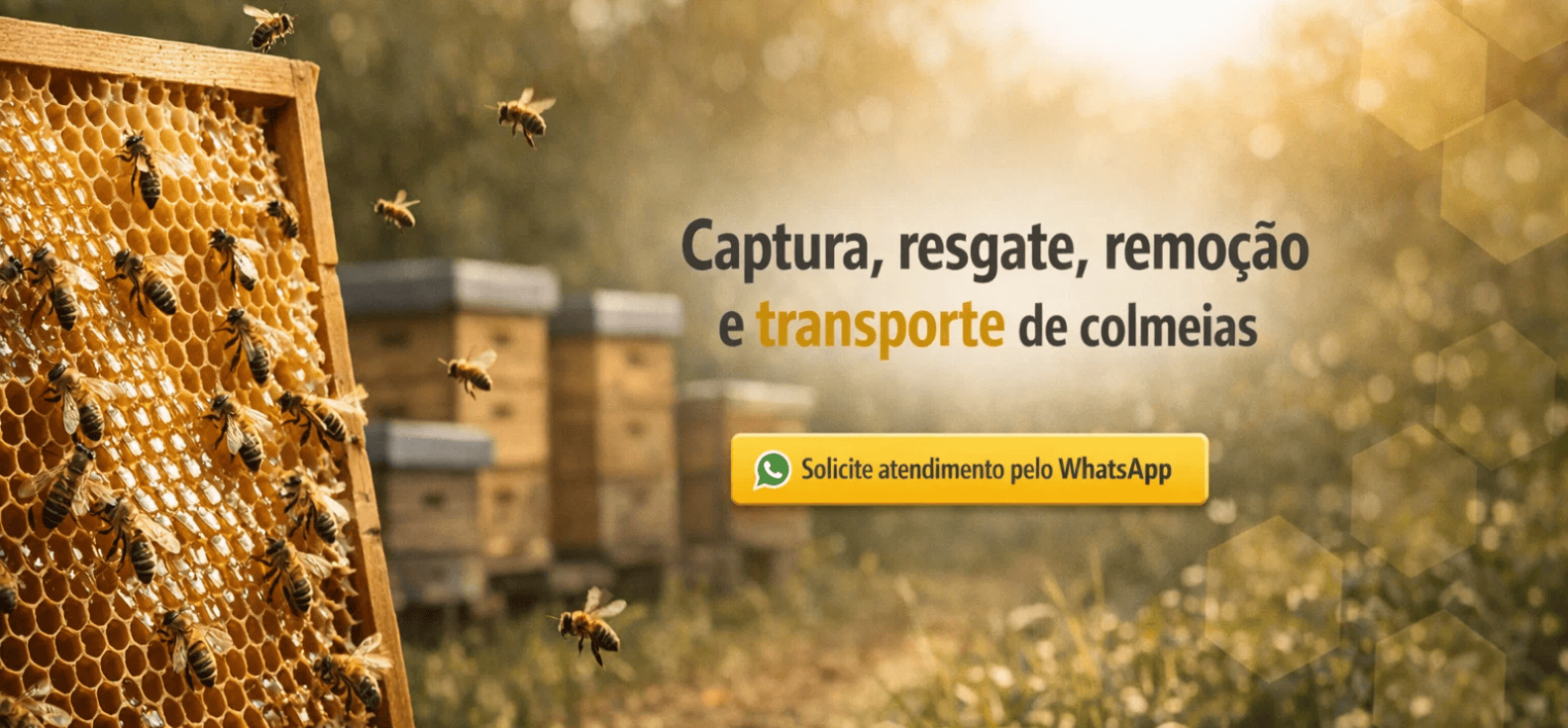 Imagem do Slide Home