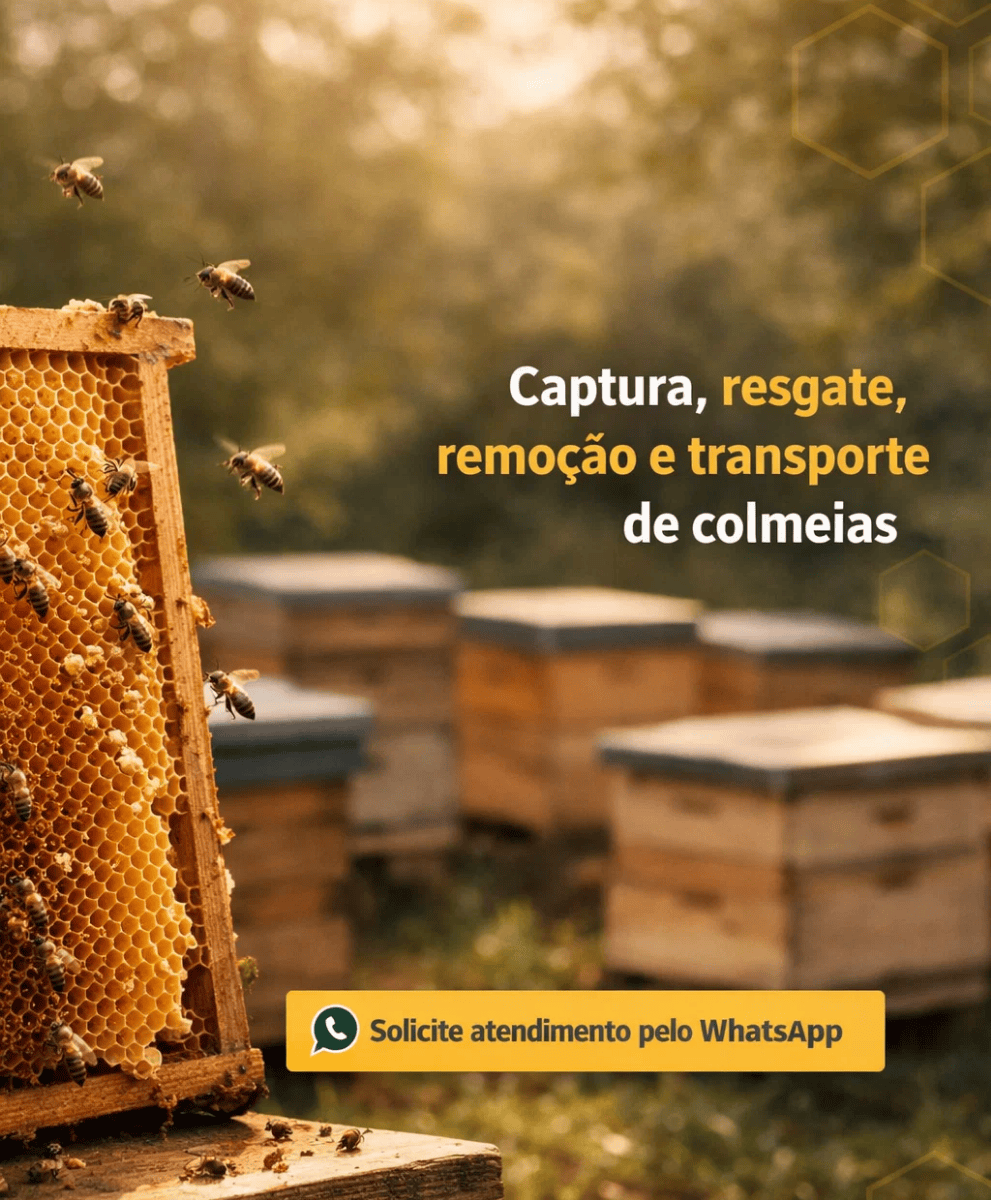 Imagem do Slide Home