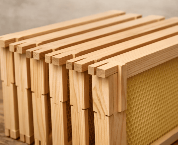 Quadros para Colmeias - Foto 1