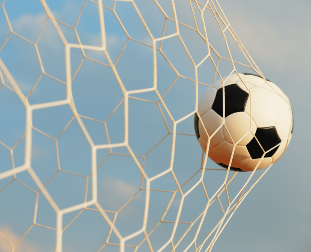 Rede de Futebol de Campo - Foto 1