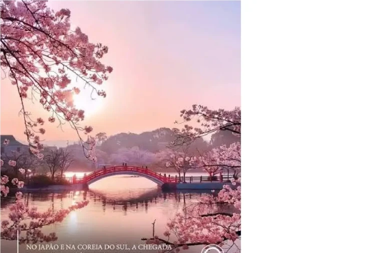 Coreia do Sul & Japão na Primavera. - Foto 1