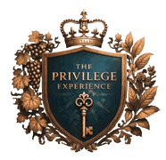 The Privilege Experience
