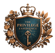 The Privilege Experience