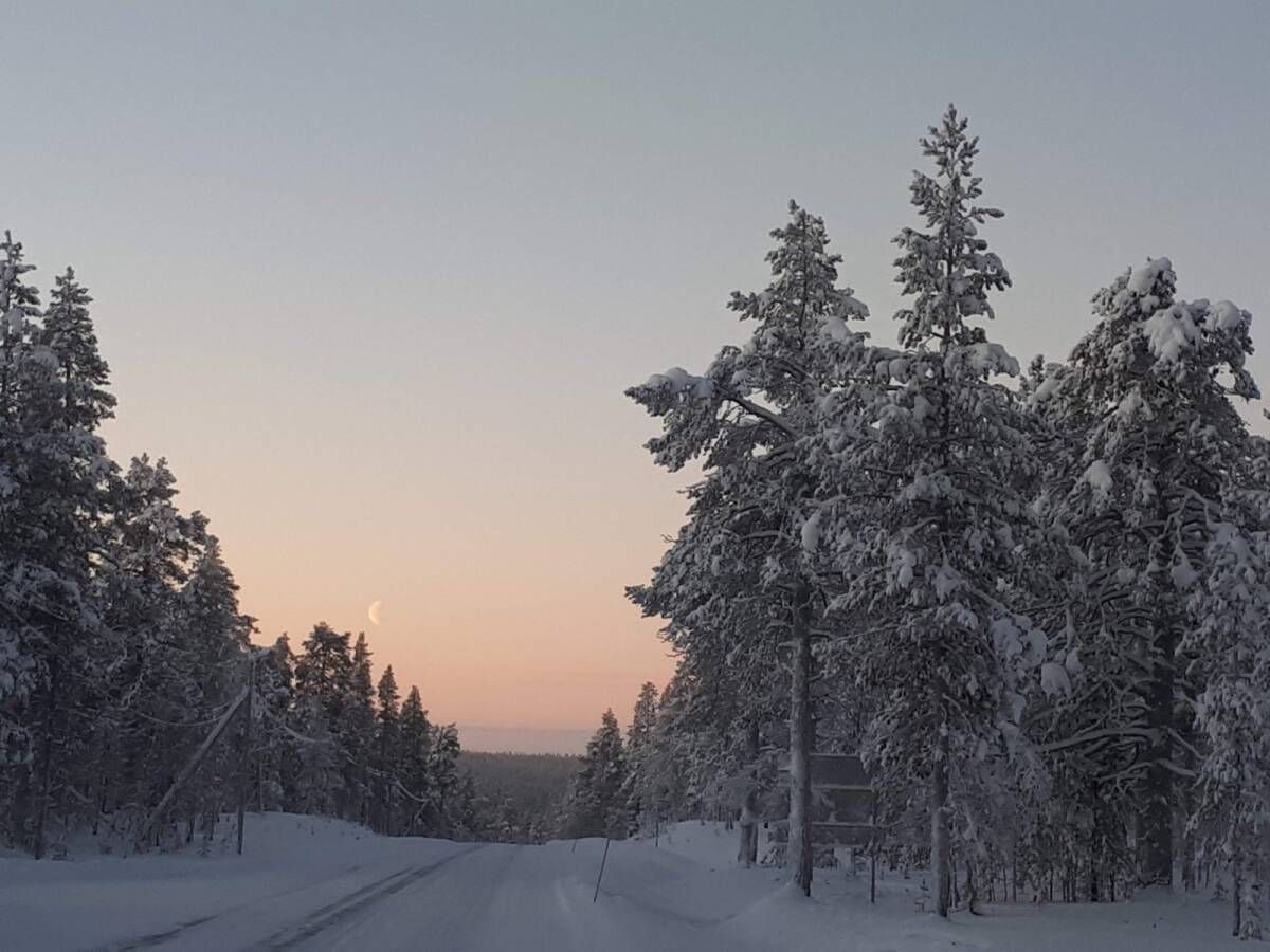 LAPONIA FINLANDESA >> SAIDA EM >>>>NOVEMBRO - Foto 43