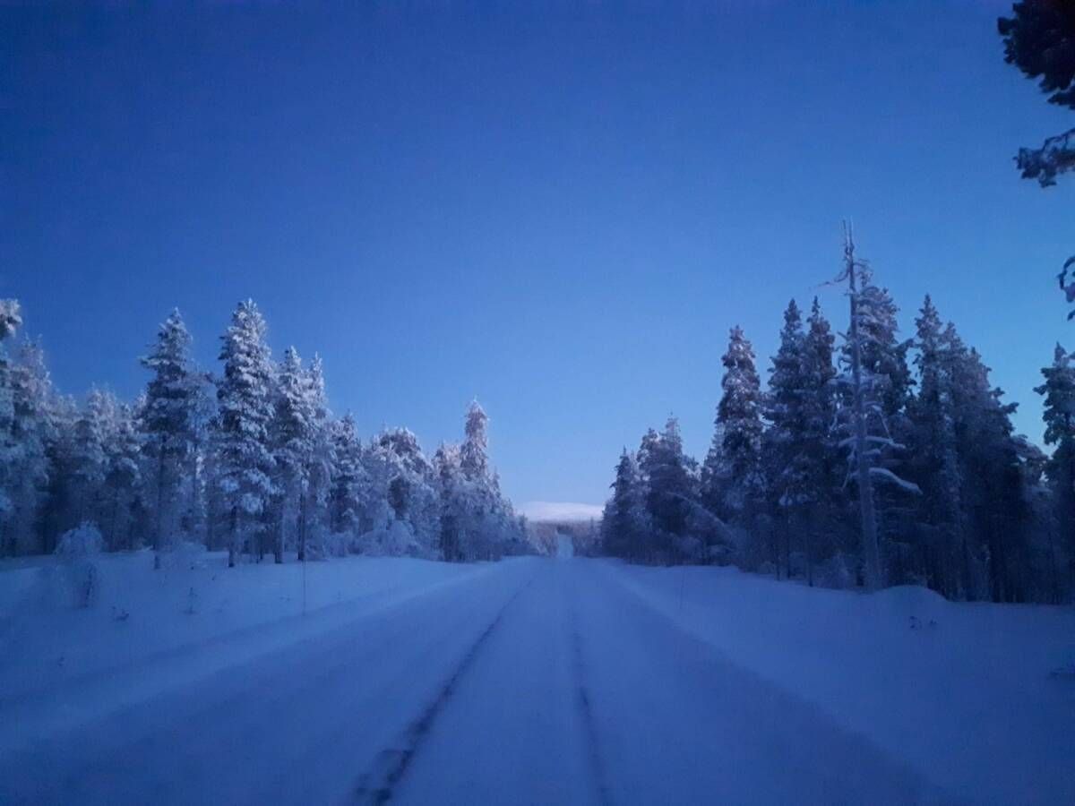 LAPONIA FINLANDESA >> SAIDA EM >>>>NOVEMBRO - Foto 62