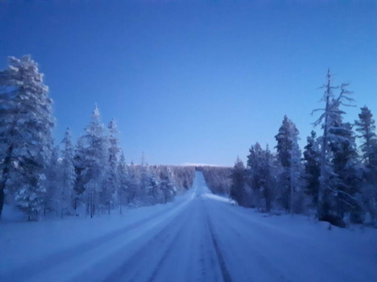 LAPONIA FINLANDESA >> SAIDA EM >>>>NOVEMBRO - Foto 64