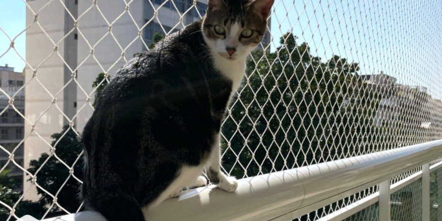 Instalação de Redes de Proteção janelas e sacadas - Foto 1