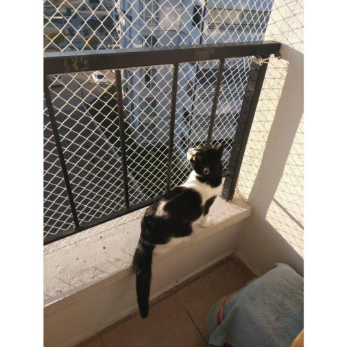 Redes de Proteção BH - Foto 1