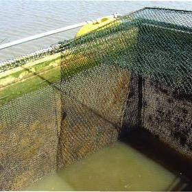 Redes de Proteção BH - Foto 1