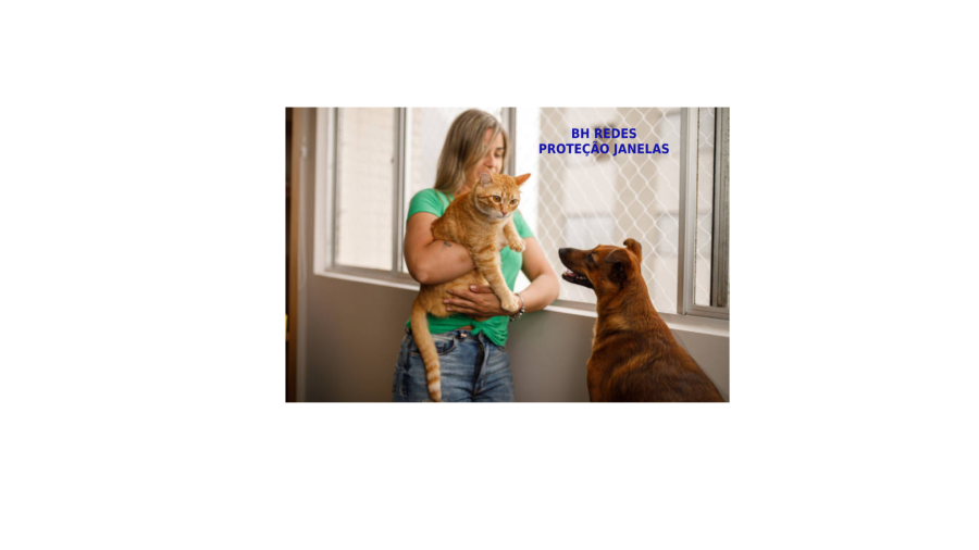 Redes de janelas BH - Foto 1