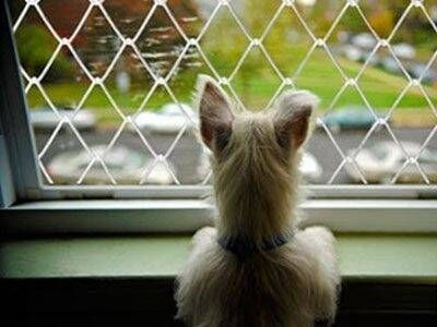 Redes de Proteção Gutierrez - Foto 1