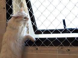 Redes de Proteção de Janelas para Gatos BH - Foto 8