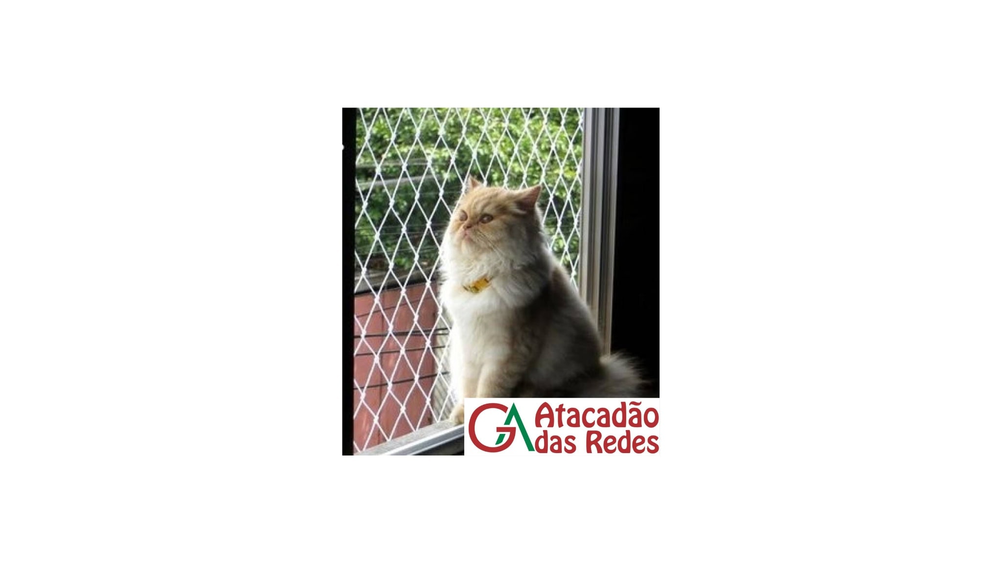 redes de proteção bh