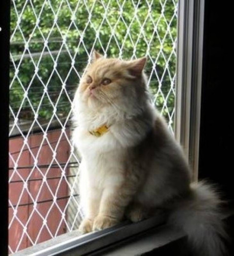 Redes de proteção janela Prado - Foto 1