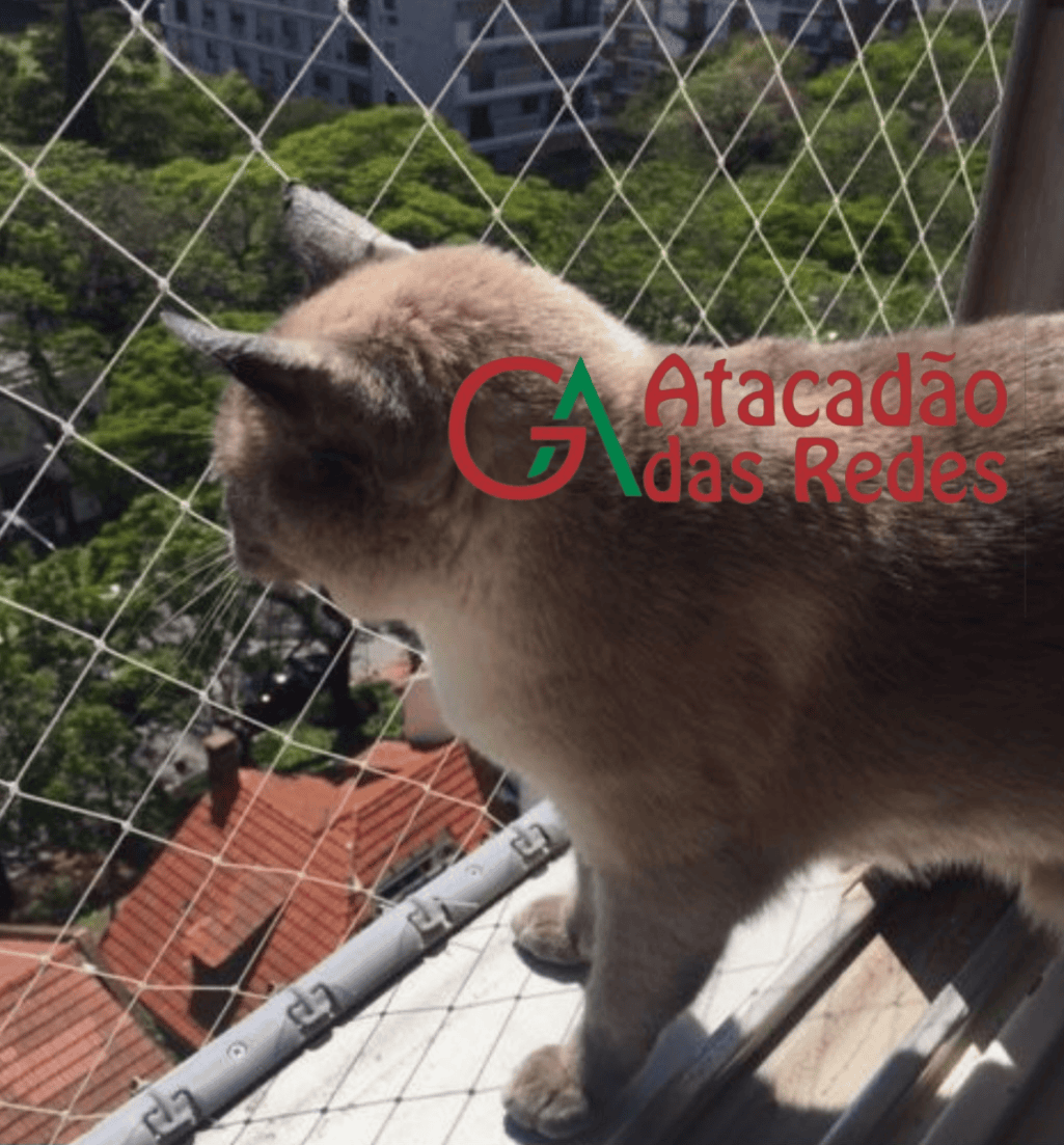 redes de proteção bh
