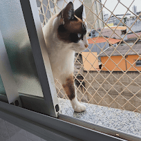 redes de proteção bh