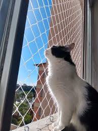 instalação de redes para gatos bh