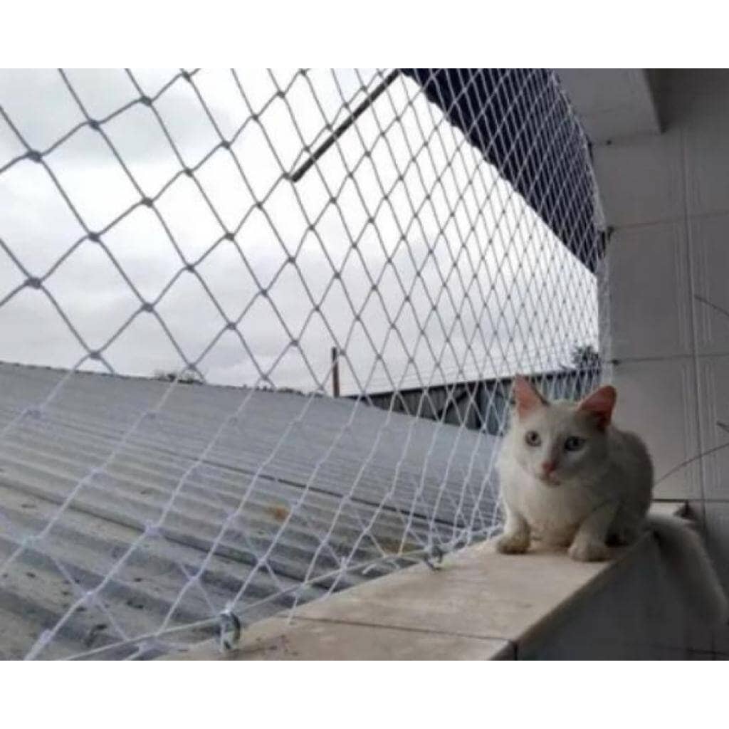 redes de proteção gatos bh